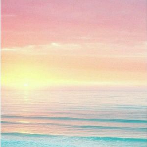 Meet your Posher, Jazmin